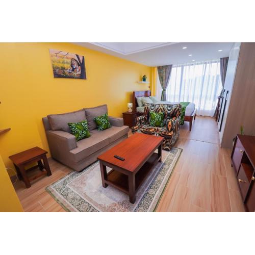 Minala Cozy and Bright Studio in Kilimani