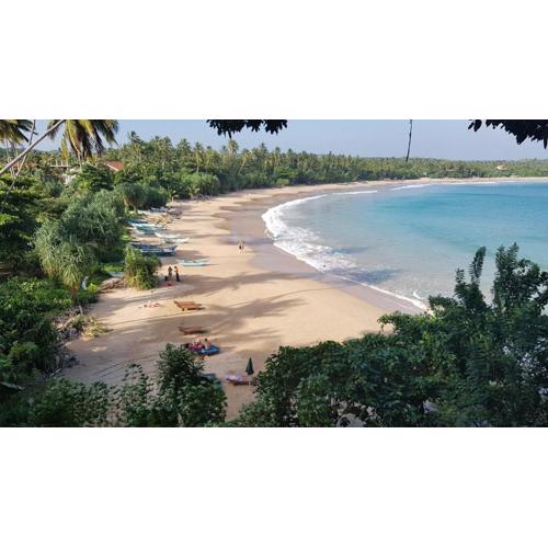 Mindiya Turtle Waves Talalla