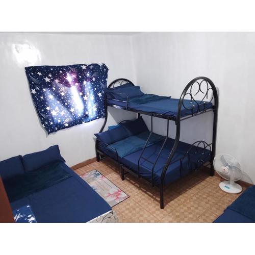 Mines and Wright Transient