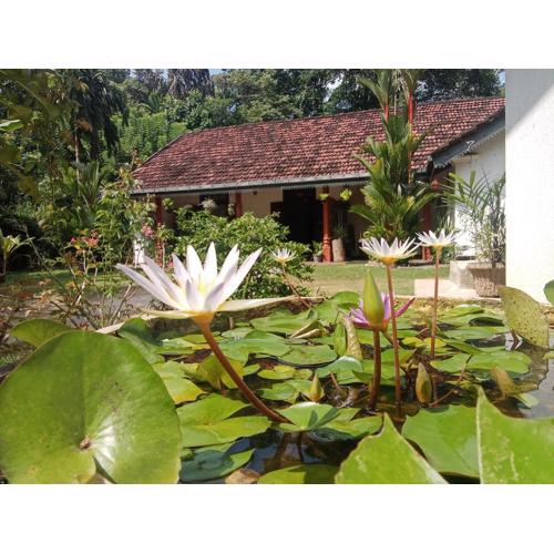 Minu Homestay & Villa