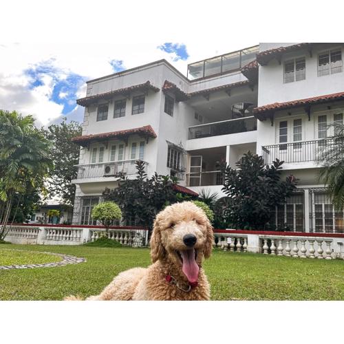 MiraNamin Nest KAMANTIGI Room in Unique Historic Home - Garden Access, Shared Kitchen, Pet Friendly with a Fee