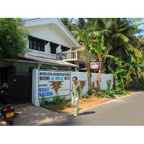 Mirissa Harbour View