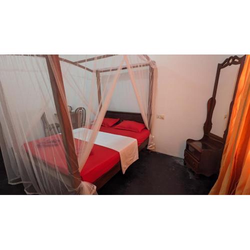 Mirissa Senaliya Guest