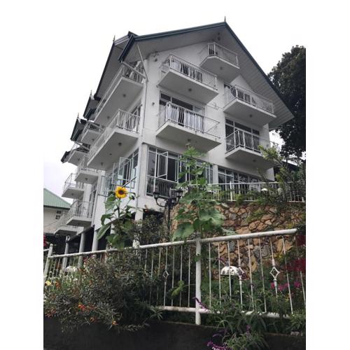 Misty Paradise of Lake Gregory