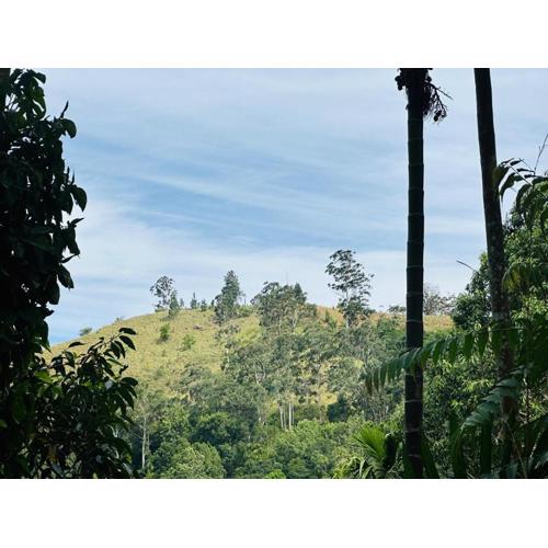 Mithun Homestay Ella