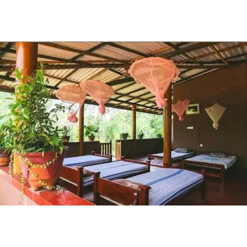 mk yala safari and guest house