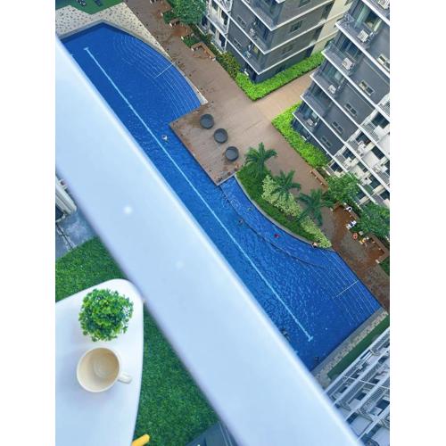 Moa staycation by star princess