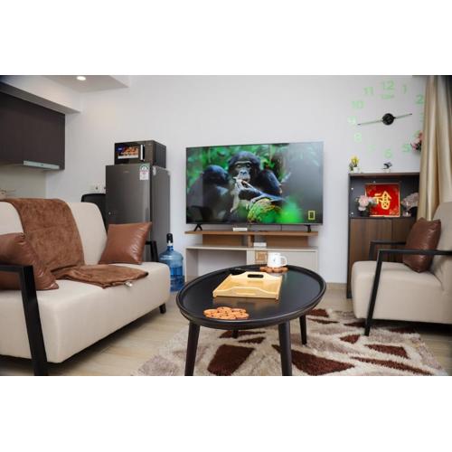 Modern and stylish apartment