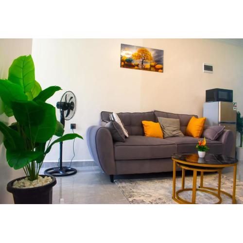 Modern & Cozy One Bedroom Apartment, Golden Mango Heights, 9th Floor