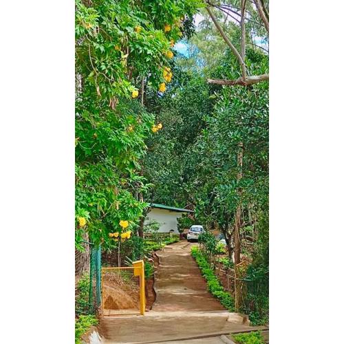 Modern Nature Retreat - Private Holiday Home in Bandarawela Hills