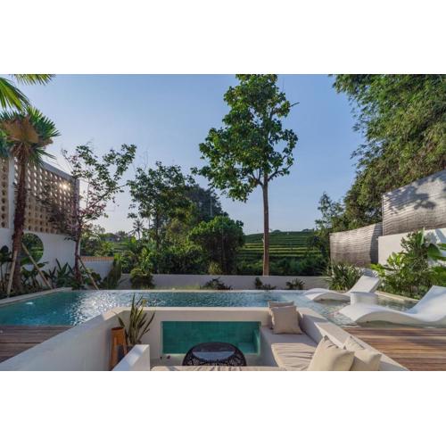 Modern New Villa Bordering Canggu, Ricefield View