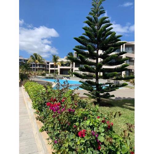 Modern Oceanview Apartment D1