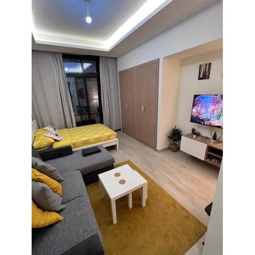 Modern Studio Center of Dubai