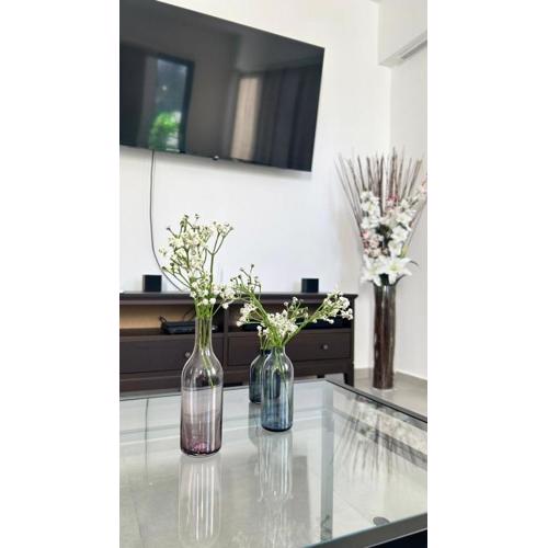 Moderno y acogedor apartamento