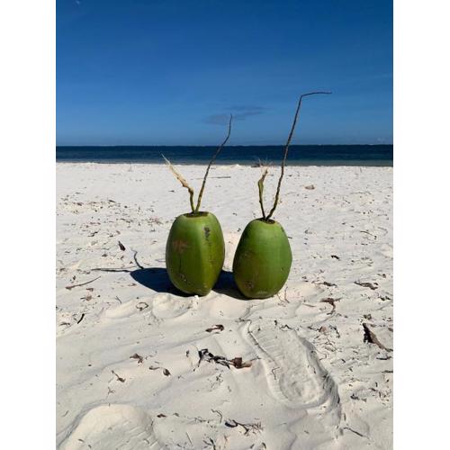 Mombasa Vacations Beach Studio B11