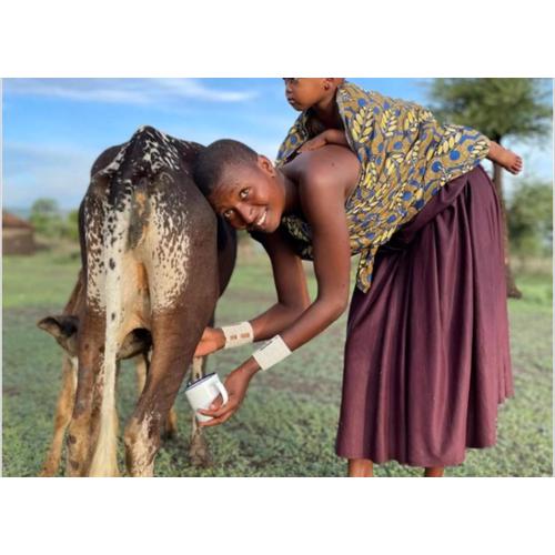 Mombo Maasai Culture Homestay