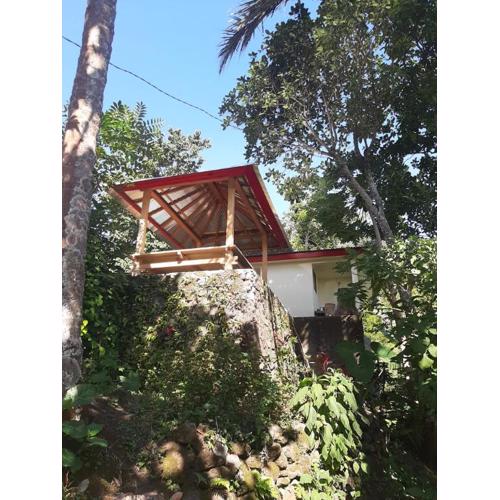 Mona‘s Tiny Djungle House