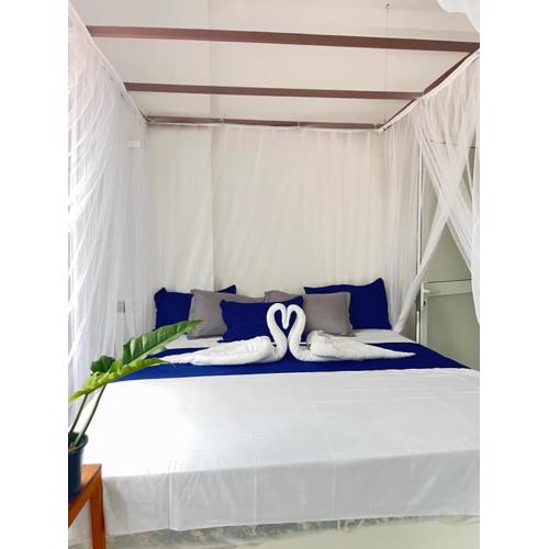 Monstera Haven Hiriketiya