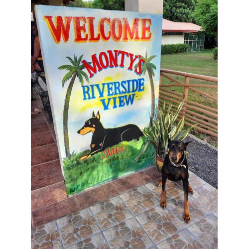Monty's Riverside View Resort