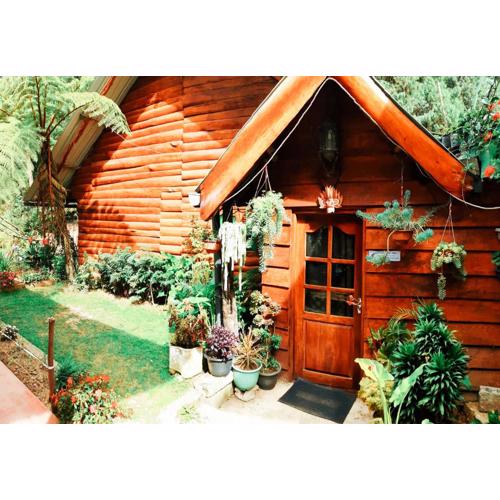 Moon Plains Forest Log