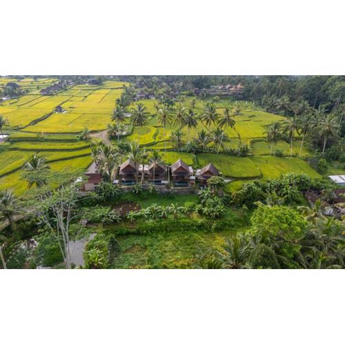 Moonterra Villa Sebatu