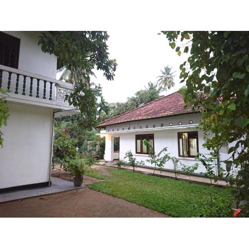 More Attractive wonderful 1950 mid-century home with another newly built house