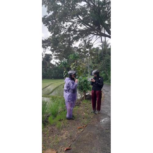 Moto driver tour Borobudur , Rice terace, sacred waterfall