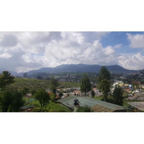 Mount View NuwaraEliya
