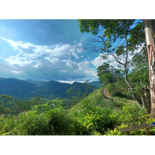 Mountain vibe ella
