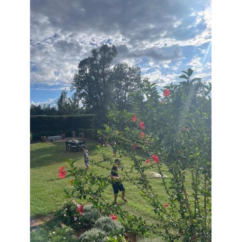 Mountain View Cottage - Nature at Best!