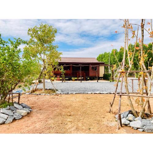 mountain view fishing sport & homestay