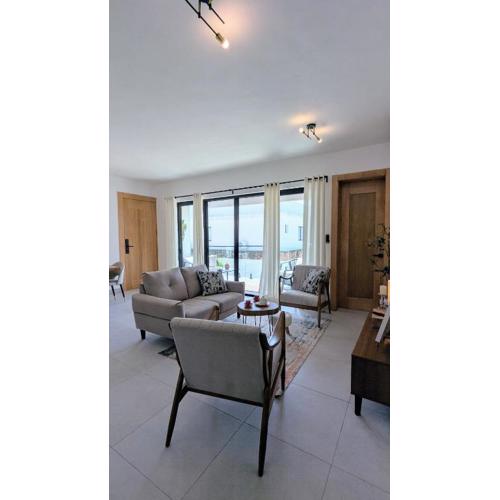 Mountain View Penthouse Condo