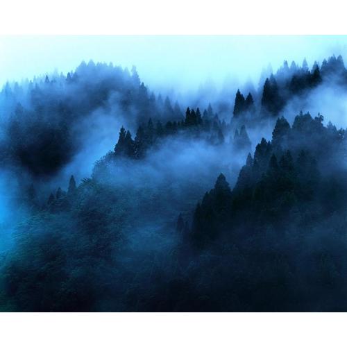 "Mount'n mist"