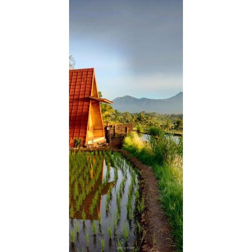 Muni's Terrace Bungalow