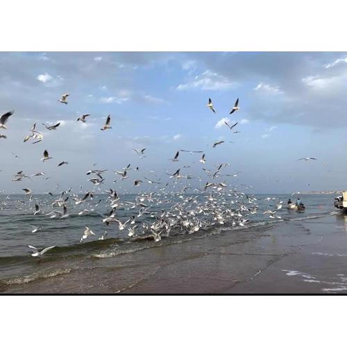 Muscat Homestay & Hospitality