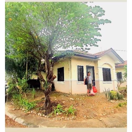 My charming 2-bedroom house