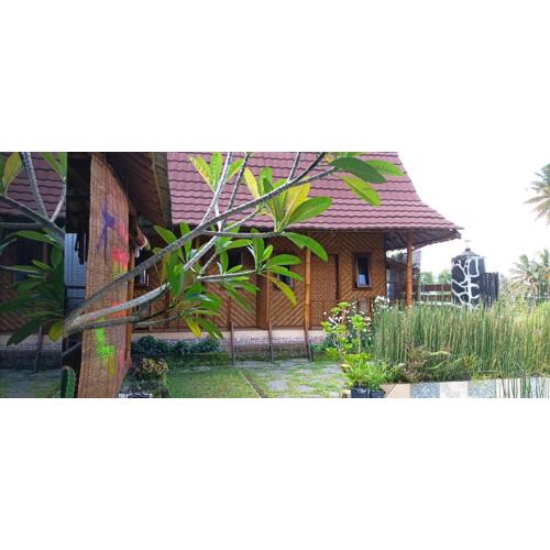 Mysha Guest House-Lombok