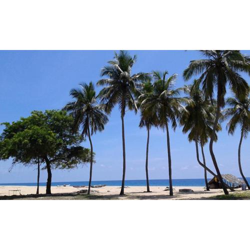 Naaval Beach Villa & Rooms