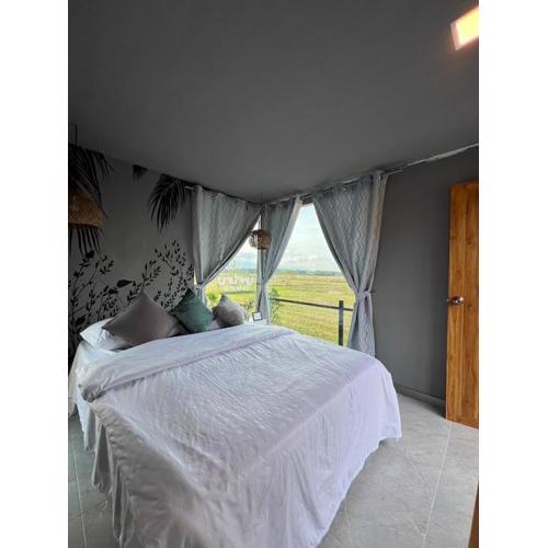 นาน้าหมูฟาร์มสเตย์ NanamooFarmStay