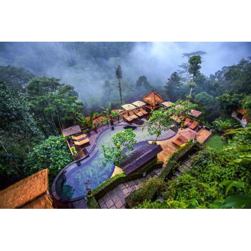 Nandini Jungle by Hanging Gardens