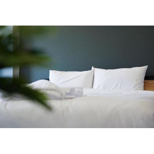 Naoat Resort Farm & Cafe