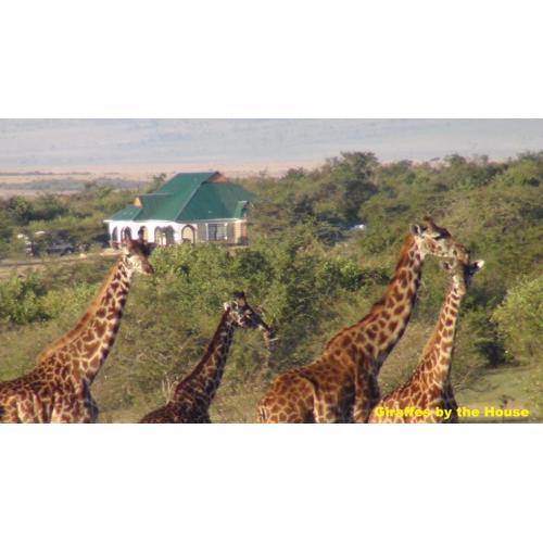 Narasha Homestay - Maasai Mara