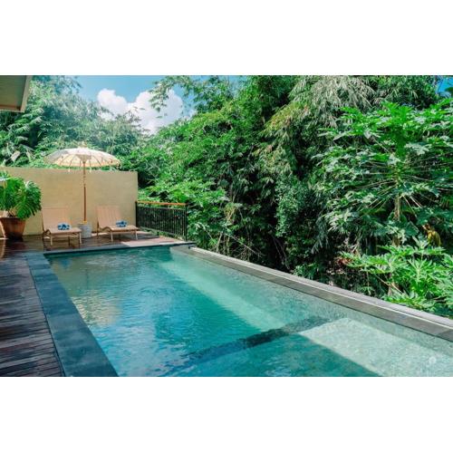 Nasa Place Ubud With Jungle View