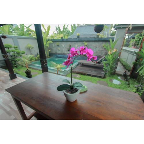 Natha Swari Private Pool Villa