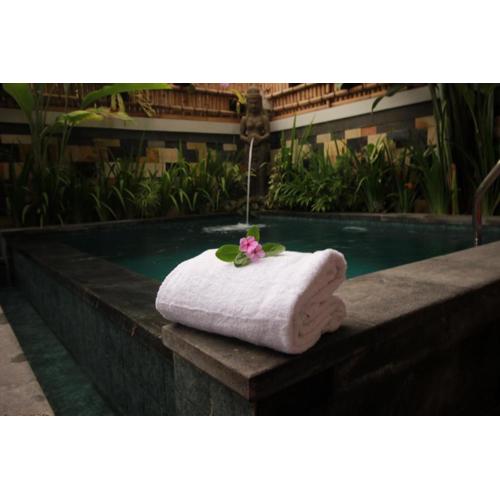 Natha Ubud Villa