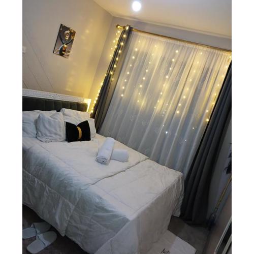 Natt homes near jkia