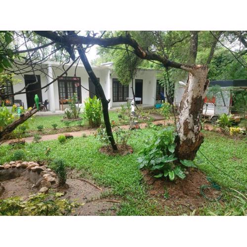 Nature Bird Paradise Hotel Sigiriya