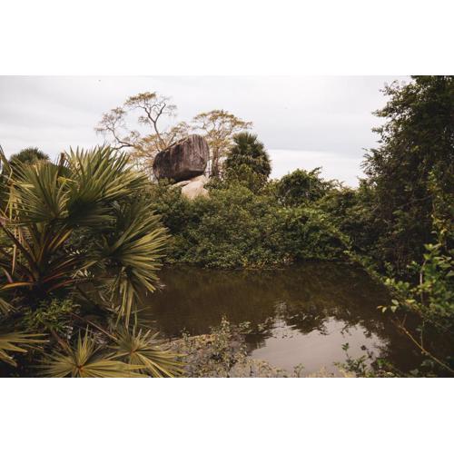 Nature garden resort