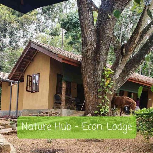 Nature Hub Econ Lodging