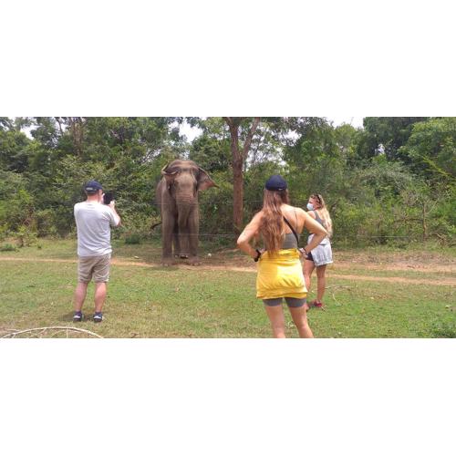Nature Lovers Safari Villa